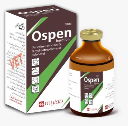 Ospen Injection (50ml)