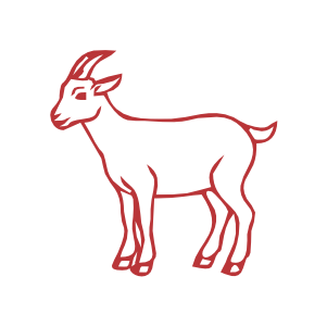 Goat