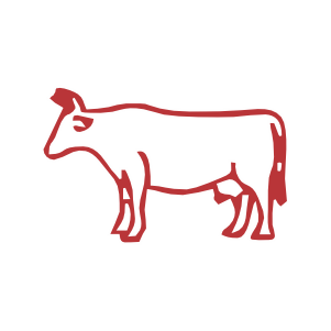 Buffalo