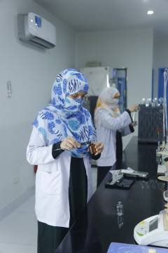 _D3A3252.JPG (Large)